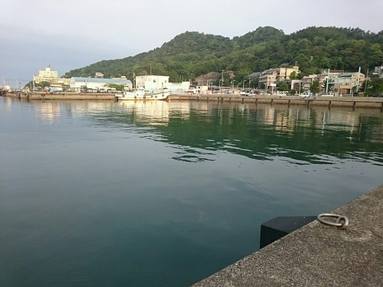 釣り場・新和歌浦漁港1