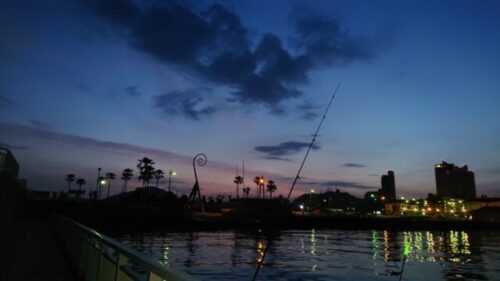 マリーナシティ夜釣り